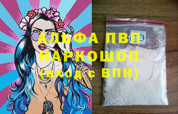 индика Карпинск