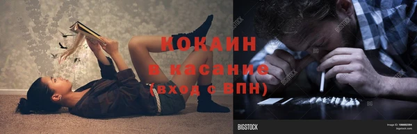 индика Карпинск