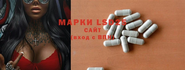 индика Карпинск