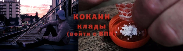 индика Карпинск