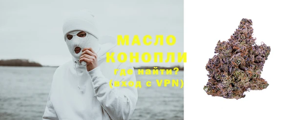 индика Карпинск