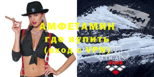 индика Карпинск