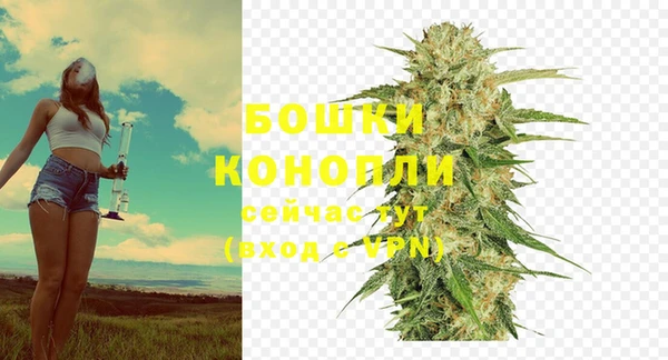 индика Карпинск