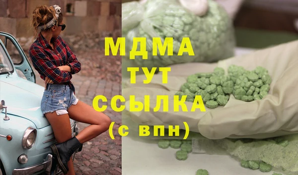 индика Карпинск