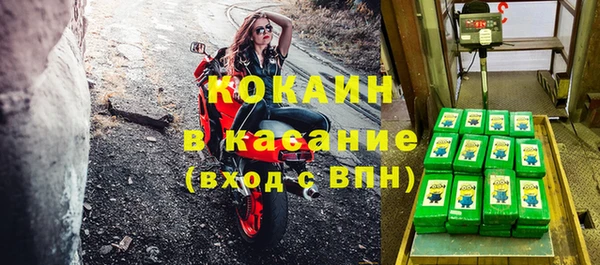 индика Карпинск